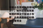 哪些小生意利润高赚钱少？，如何在家庭预算有限的情况下投资小生意，这些项目能轻松赚取大量现金