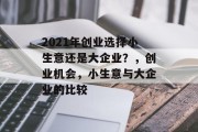 2021年创业选择小生意还是大企业?,创业机会,小生意与大企业的比较 2021年创业选择小生意还是大企业?,创业机会,小生意与大企业的比较