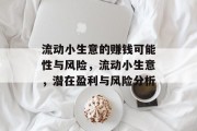 流动小生意的赚钱可能性与风险，流动小生意，潜在盈利与风险分析