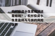农村投资小生意赚钱还是赔钱?,农村投资小生意盈利与亏损的风险分析 农村投资小生意赚钱还是赔钱?,农村投资小生意盈利与亏损的风险分析
