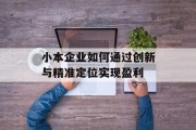 小本企业如何通过创新与精准定位实现盈利