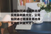 公司如何通过业务选择实现盈利最大化，公司如何通过精准业务选择实现盈利最大化