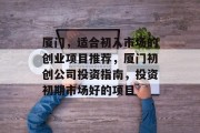 厦门,适合初入市场的创业项目推荐,厦门初创公司投资指南,投资初期市场好的项目 厦门,适合初入市场的创业项目推荐,厦门初创公司投资指南,投资初期市场好的项目