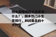 桐乡最赚钱的小生意是什么？，桐乡热门小生意排行，利润最高的十大行业