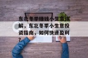东北冬季赚钱小生意详解,东北冬季小生意投资指南,如何快速盈利? 东北冬季赚钱小生意详解,东北冬季小生意投资指南,如何快速盈利?