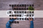 年前低成本赚钱小生意——教你如何选择与运营,教你如何通过低成本赚取财富,一份关于寻找和经营低成本小生意的指南 年前低成本赚钱小生意——教你如何选择与运营,教你如何通过低成本赚取财富,一份关于寻找和经营低成本小生意的指南