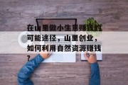 在山里做小生意赚钱的可能途径,山里创业,如何利用自然资源赚钱?