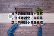 当下的最佳赚钱小生意,低成本创业,当前最热门的赚钱小生意介绍 当下的最佳赚钱小生意,低成本创业,当前最热门的赚钱小生意介绍