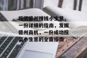 投资德州赚钱小生意,一份详细的指南,发掘德州商机,一份成功投资小生意的全面指南 投资德州赚钱小生意,一份详细的指南,发掘德州商机,一份成功投资小生意的全面指南
