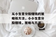 从小生意分股赚钱的策略和方法，小小生意分股赚钱，策略与方法