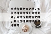 电池行业财富之路,如何选择最赚钱的电池业务,电池行业财富之路,如何选择最赚钱的电池业务