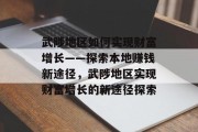 武陟地区如何实现财富增长——探索本地赚钱新途径，武陟地区实现财富增长的新途径探索