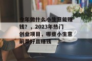 今年做什么小生意能赚钱?,2023年热门创业项目,哪些小生意前景好且赚钱 今年做什么小生意能赚钱?,2023年热门创业项目,哪些小生意前景好且赚钱