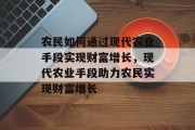 农民如何通过现代农业手段实现财富增长,现代农业手段助力农民实现财富增长 农民如何通过现代农业手段实现财富增长,现代农业手段助力农民实现财富增长