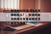 鼓浪屿如何通过小生意赚取收入?,鼓浪屿如何利用小生意实现经济自立与发展?