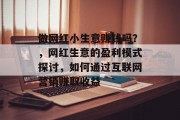 做网红小生意赚钱吗？，网红生意的盈利模式探讨，如何通过互联网营销赚取收益