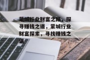 蒙城行业财富之路，探寻赚钱之道，蒙城行业财富探索，寻找赚钱之道