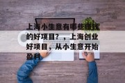 上海小生意有哪些赚钱的好项目？，上海创业好项目，从小生意开始盈利