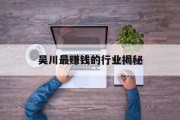 吴川最赚钱的行业揭秘