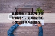 无锡哪些小生意可以赚取利润?,无锡新兴的小生意赚钱项目推荐 无锡哪些小生意可以赚取利润?,无锡新兴的小生意赚钱项目推荐
