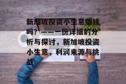 新加坡投资小生意赚钱吗?——一份详细的分析与探讨,新加坡投资小生意,利润来源与挑战 新加坡投资小生意赚钱吗?——一份详细的分析与探讨,新加坡投资小生意,利润来源与挑战
