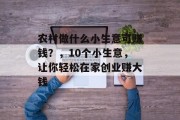 农村做什么小生意可赚钱?,10个小生意,让你轻松在家创业赚大钱 农村做什么小生意可赚钱?,10个小生意,让你轻松在家创业赚大钱