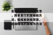 实现超级赚钱的小生意,简单易行的策略和方法,低成本创业项目,超级赚钱的策略与方法