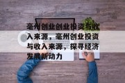 毫州创业创业投资与收入来源,毫州创业投资与收入来源,探寻经济发展新动力