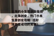 北海的小生意创业指南,北海创业,热门小本生意创业攻略: 选好项目是成功的关键! 北海的小生意创业指南,北海创业,热门小本生意创业攻略: 选好项目是成功的关键!