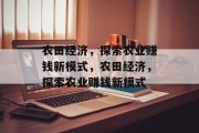 农田经济,探索农业赚钱新模式,农田经济,探索农业赚钱新模式