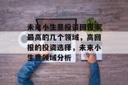 未来小生意投资回报率最高的几个领域，高回报的投资选择，未来小生意领域分析