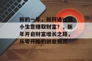 新的一年，如何通过做小生意赚取财富？，新年开启财富增长之路，从零开始的创业模式