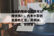 内乡的那些小生意可以赚快钱?,内乡小型创业商机汇总,高利润、低门槛、快回报