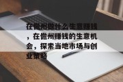在儋州做什么生意赚钱，在儋州赚钱的生意机会，探索当地市场与创业策略