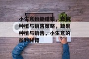 小生意也能赚钱,蔬果种植与销售策略,蔬果种植与销售,小生意的盈利秘籍