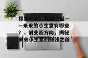 探索未来的赚钱之道——未来的小生意有哪些?,创业新方向,揭秘未来小生意的赚钱之道 探索未来的赚钱之道——未来的小生意有哪些?,创业新方向,揭秘未来小生意的赚钱之道