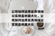 公司如何选择业务领域以实现盈利最大化,公司如何选择业务领域以实现盈利最大化