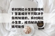 农村网红小生意赚钱吗?答案或许不只取决于你所知道的,农村网红小生意,成功秘诀与赚钱可能性