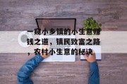 一窥小乡镇的小生意赚钱之道,镇民致富之路,农村小生意的秘诀