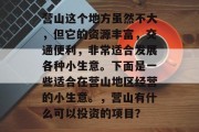 营山这个地方虽然不大,但它的资源丰富,交通便利,非常适合发展各种小生意。下面是一些适合在营山地区经营的小生意。,营山有什么可以投资的项目?
