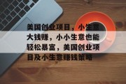 美国创业项目,小生意大钱赚,小小生意也能轻松暴富,美国创业项目及小生意赚钱策略 美国创业项目,小生意大钱赚,小小生意也能轻松暴富,美国创业项目及小生意赚钱策略