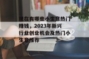 现在有哪些小生意热门赚钱，2023年新兴行业创业机会及热门小生意推荐