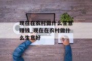 现在在农村做什么生意赚钱_现在在农村做什么生意好 现在在农村做什么生意赚钱_现在在农村做什么生意好