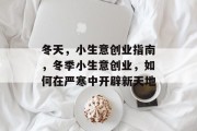 冬天，小生意创业指南，冬季小生意创业，如何在严寒中开辟新天地