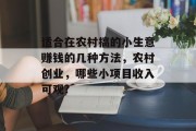适合在农村搞的小生意赚钱的几种方法,农村创业,哪些小项目收入可观? 适合在农村搞的小生意赚钱的几种方法,农村创业,哪些小项目收入可观?