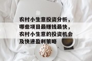 农村小生意投资分析,哪些项目最赚钱最快,农村小生意的投资机会及快速盈利策略