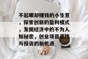 不起眼却赚钱的小生意,探索创新的盈利模式,发掘经济中的不为人知秘密,创业项目寻找与投资的新机遇 不起眼却赚钱的小生意,探索创新的盈利模式,发掘经济中的不为人知秘密,创业项目寻找与投资的新机遇