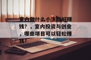 室内做什么小生意好赚钱?,室内投资与创业,哪些项目可以轻松赚钱? 室内做什么小生意好赚钱?,室内投资与创业,哪些项目可以轻松赚钱?