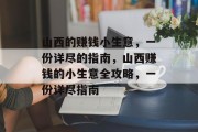 山西的赚钱小生意，一份详尽的指南，山西赚钱的小生意全攻略，一份详尽指南