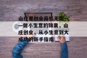 山庄里创业商机无限——做小生意的锦囊,山庄创业,从小生意到大成功的新手指南